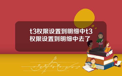 t3權限設置到明細中t3權限設置到明細中去了