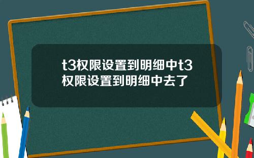 t3權限設置到明細中t3權限設置到明細中去了