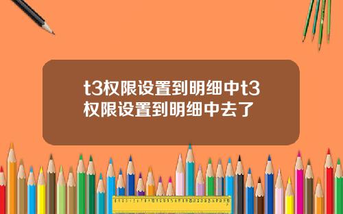 t3權限設置到明細中t3權限設置到明細中去了