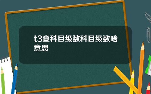 t3查科目級數科目級數啥意思