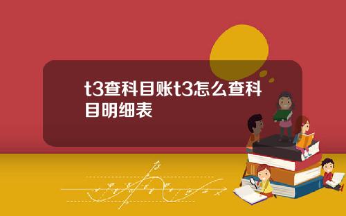 t3查科目賬t3怎麽查科目明細表