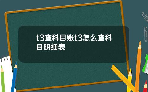 t3查科目賬t3怎麽查科目明細表