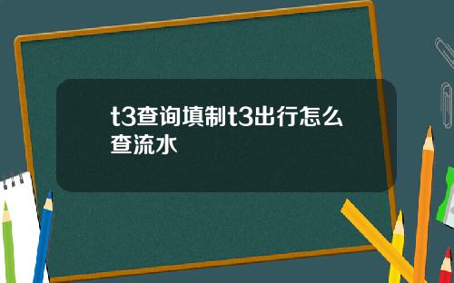 t3查詢填制t3出行怎麽查流水