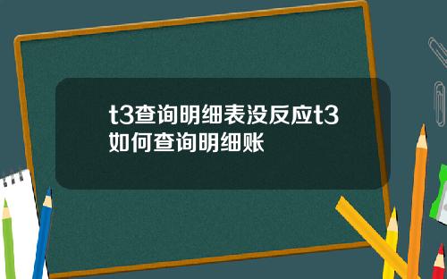t3查詢明細表沒反應t3如何查詢明細賬