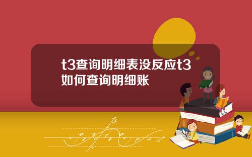 t3查詢明細表沒反應t3如何查詢明細賬