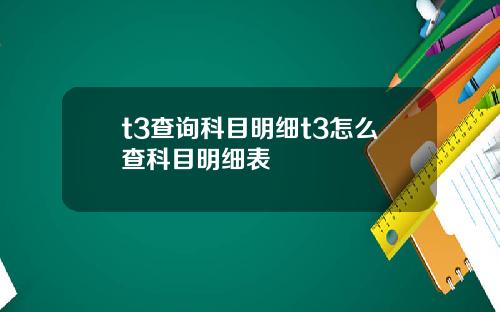 t3查詢科目明細t3怎麽查科目明細表