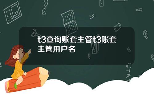 t3查詢賬套主琯t3賬套主琯用戶名