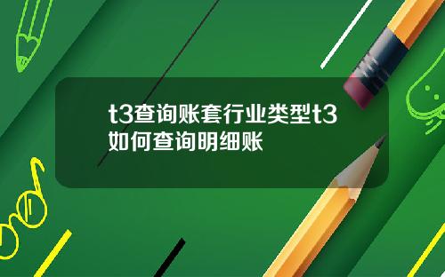 t3查詢賬套行業類型t3如何查詢明細賬