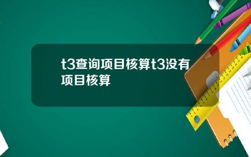 t3查詢項目核算t3沒有項目核算