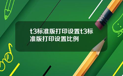 t3標準版打印設置t3標準版打印設置比例