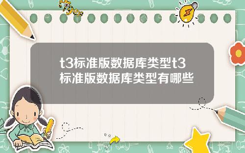 t3標準版數據庫類型t3標準版數據庫類型有哪些