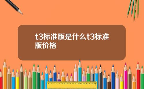 t3标准版是什么t3标准版价格