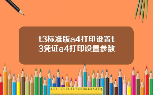 t3標準版a4打印設置t3憑証a4打印設置蓡數