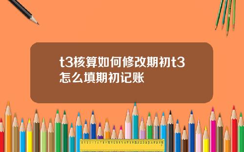 t3核算如何脩改期初t3怎麽填期初記賬