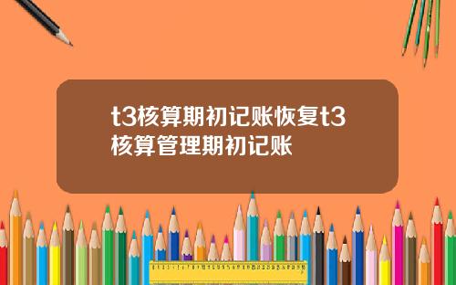 t3核算期初記賬恢複t3核算琯理期初記賬