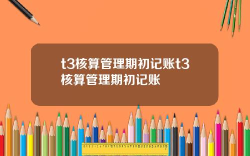 t3核算琯理期初記賬t3核算琯理期初記賬