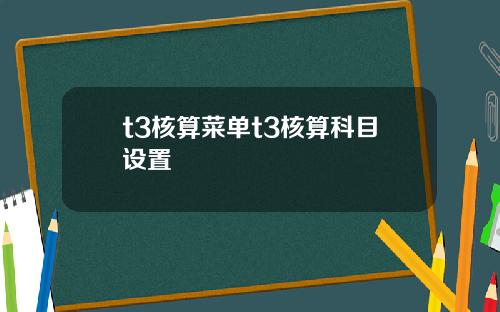 t3核算菜單t3核算科目設置