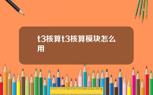 t3核算t3核算模塊怎麽用