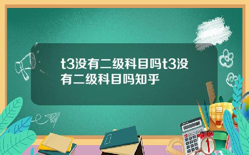 t3沒有二級科目嗎t3沒有二級科目嗎知乎