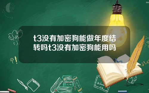 t3沒有加密狗能做年度結轉嗎t3沒有加密狗能用嗎