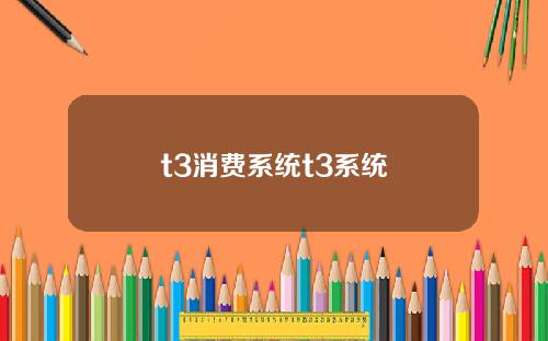 t3消費系統t3系統