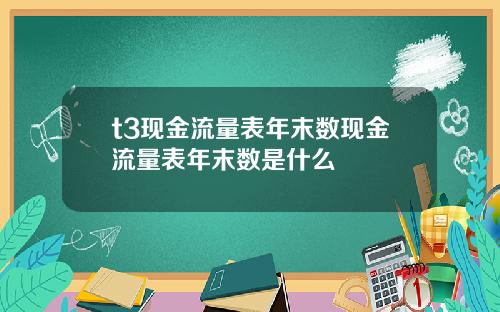 t3現金流量表年末數現金流量表年末數是什麽