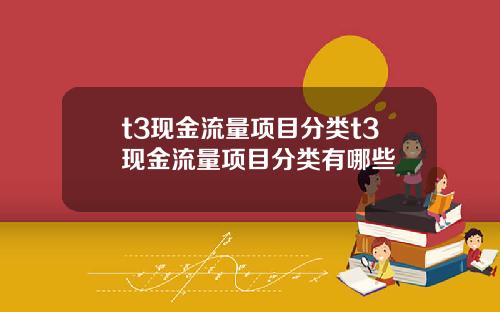 t3現金流量項目分類t3現金流量項目分類有哪些