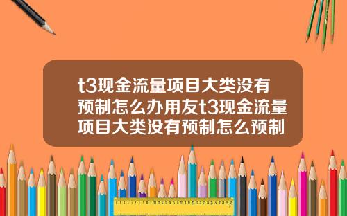 t3現金流量項目大類沒有預制怎麽辦用友t3現金流量項目大類沒有預制怎麽預制