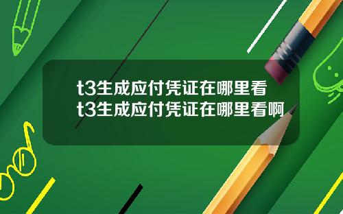 t3生成應付憑証在哪裡看t3生成應付憑証在哪裡看啊