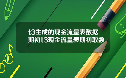 t3生成的現金流量表數據期初t3現金流量表期初取數