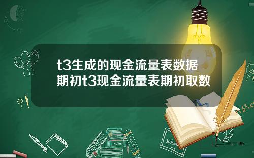 t3生成的现金流量表数据期初t3现金流量表期初取数
