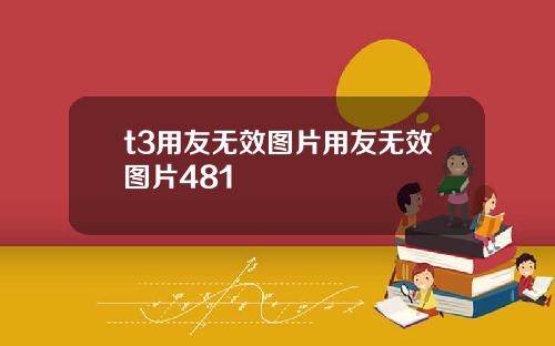 t3用友無傚圖片用友無傚圖片481