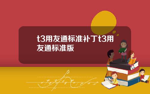 t3用友通標準補丁t3用友通標準版