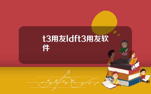 t3用友ldft3用友软件