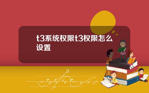 t3系统权限t3权限怎么设置