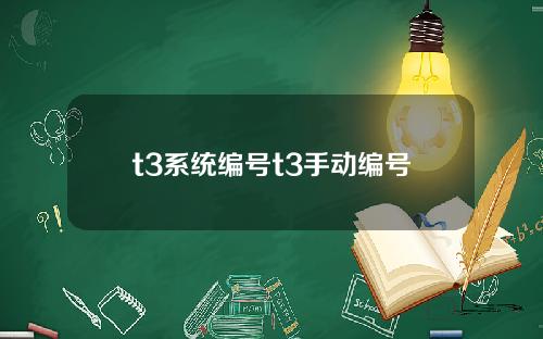 t3系统编号t3手动编号