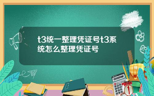 t3统一整理凭证号t3系统怎么整理凭证号