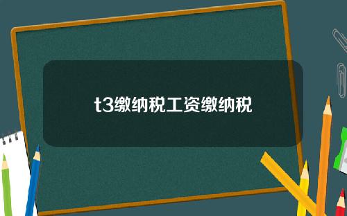 t3缴纳税工资缴纳税
