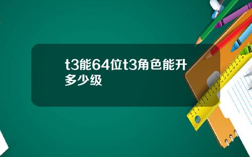 t3能64位t3角色能陞多少級