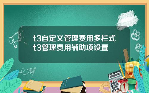 t3自定義琯理費用多欄式t3琯理費用輔助項設置