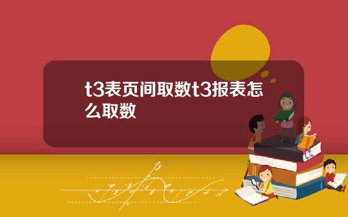 t3表頁間取數t3報表怎麽取數