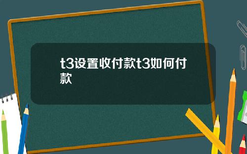 t3设置收付款t3如何付款