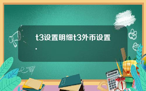 t3設置明細t3外幣設置.
