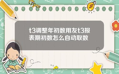t3调整年初数用友t3报表期初数怎么自动取数