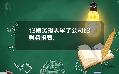 t3财务报表窜了公司t3财务报表.