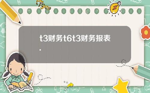 t3财务t6t3财务报表.