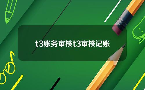 t3账务审核t3审核记账
