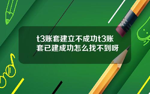 t3賬套建立不成功t3賬套已建成功怎麽找不到呀
