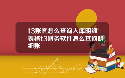 t3账套怎么查询入库明细表格t3财务软件怎么查询明细账