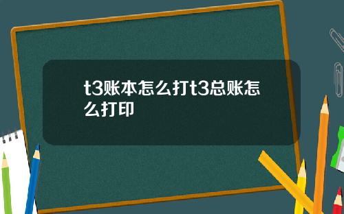t3账本怎么打t3总账怎么打印